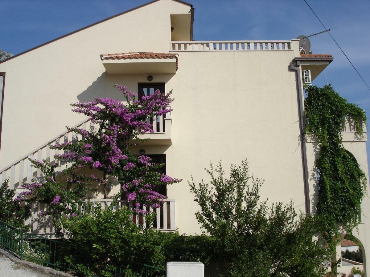 Apartments Branka Makarska Dış mekan fotoğraf
